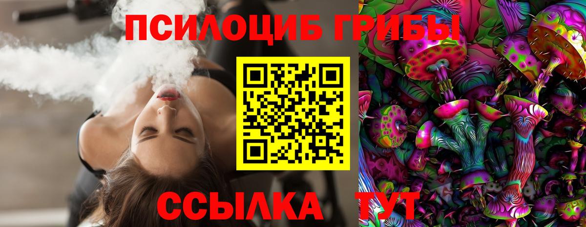 Псилоцибиновые грибы мицелий Норильск