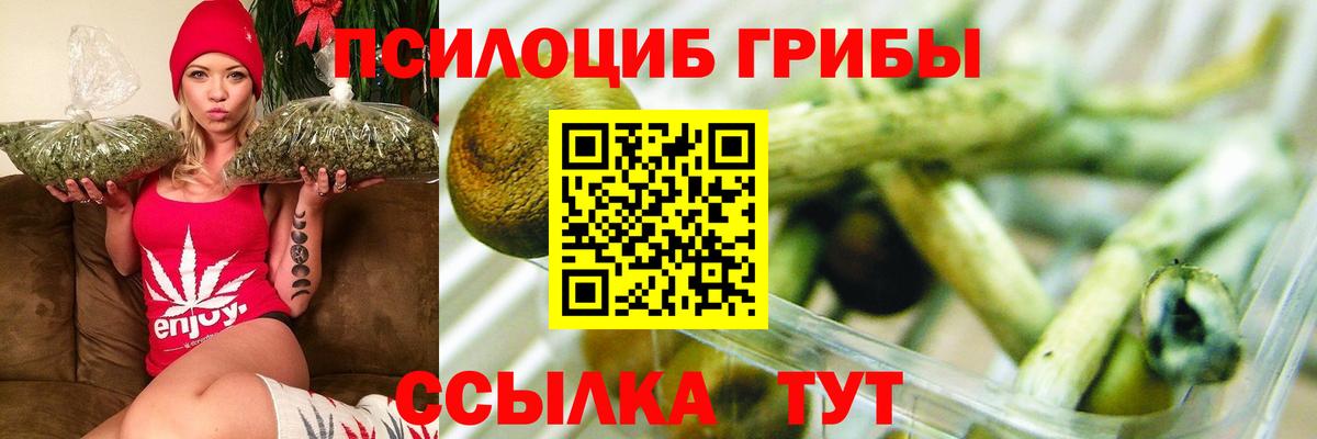 Норильск  Галлюциногенные грибы Magic Shrooms  Псилоцибиновые грибы Psilocybe  Вход с VPN 